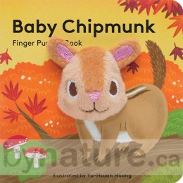 Baby Chipmunk