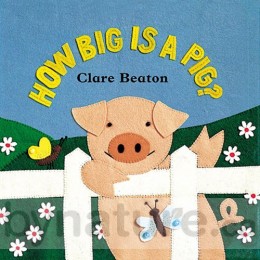 How Big is a Pig, Board Book