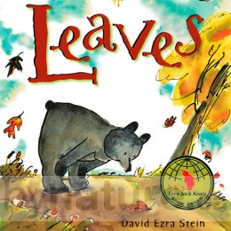 Leaves, Board Book