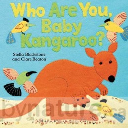 Who Are You Baby Kangaroo, Hide-and-Seek Board Book