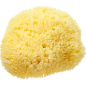 100% Natural Sea Sponge