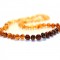 Baltic Amber Necklace, Adult - Rainbow