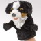 Little Bernese Mountain Dog Puppet