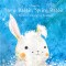 Snow Rabbit, Spring Rabbit - Board Book